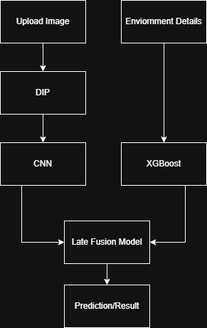 Project Visual